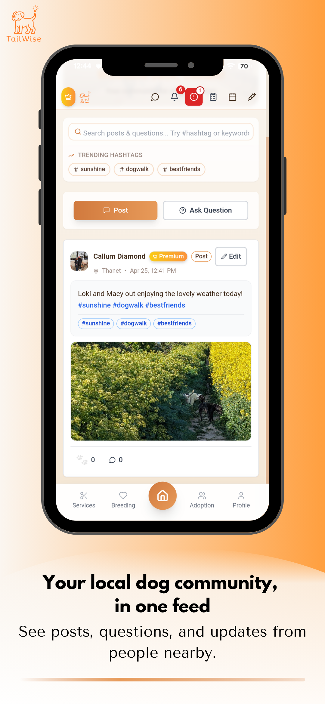 Tailwise home screen